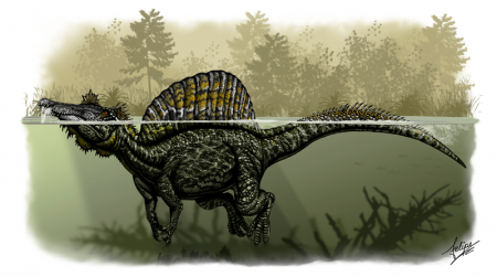El Spinosaurus se la pasaba la mayor parte del tiempo en el agua, como cocodrilo
