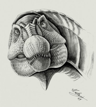 Dibujo detallado de Spinosaurus Aegyptiacus