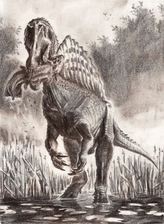 Dibujo de Spinosaurio compartiendo la teoría de que era ictiofago