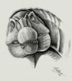 /album/fotogaleria/spinosaurus-aegyptiacus-by-liliensternus-jpg/