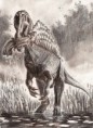 /album/fotogaleria/spinosaurus-aegyptiacus-by-patriatyrannus-jpg/